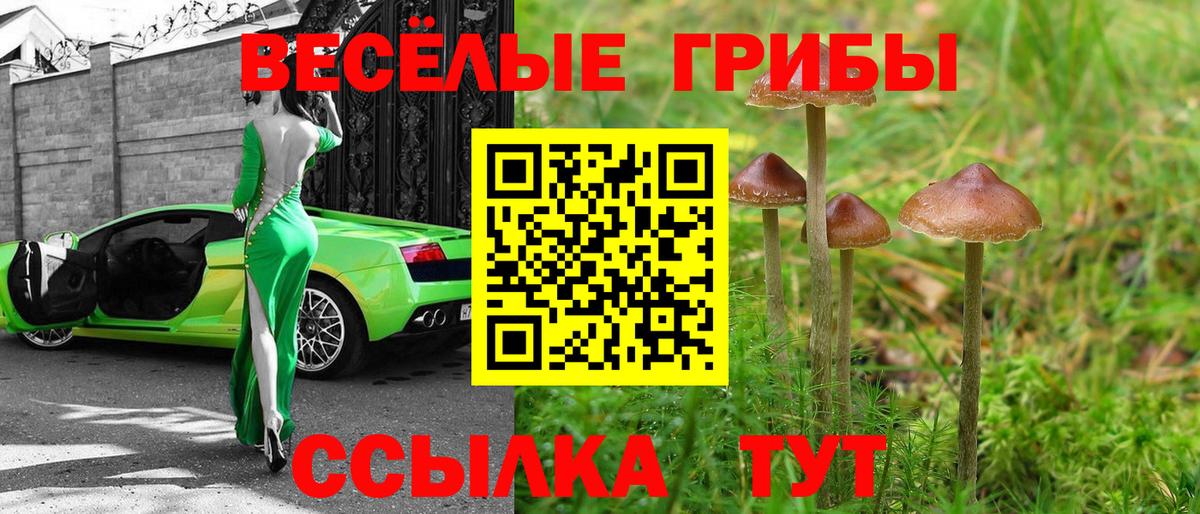 Галлюциногенные грибы Magic Shrooms Минеральные Воды