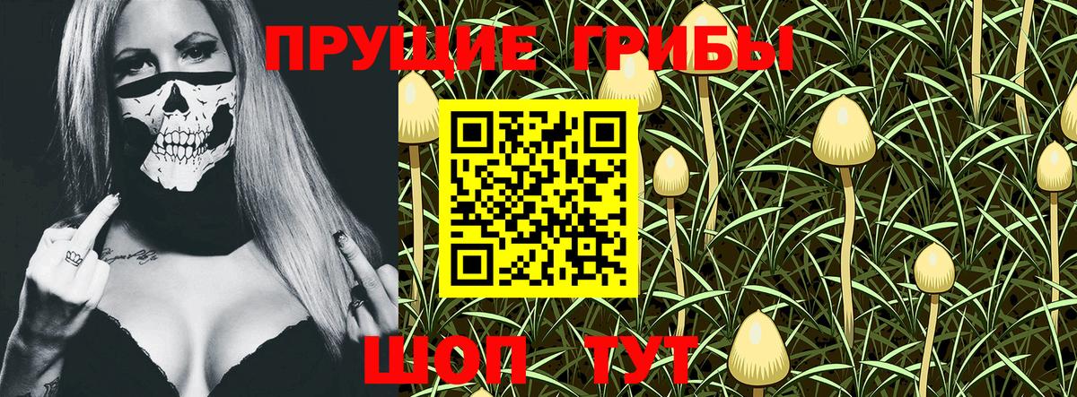 Галлюциногенные грибы GOLDEN TEACHER  купить наркоту  Минеральные Воды  Вход с VPN 